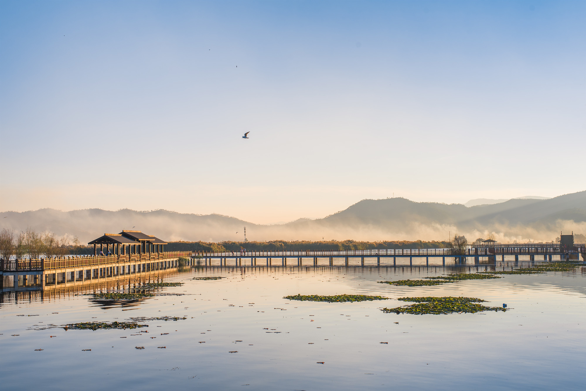 DSC_5431 - 副本